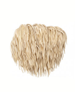 Hericium